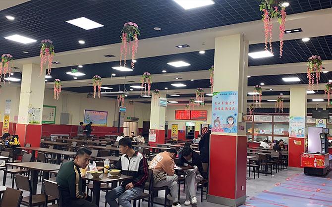 學校食品安全監(jiān)督與管理